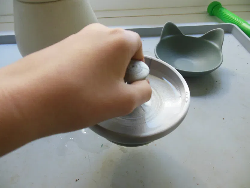 Chén nước cho mèo (Cat Water Bowl) - Image 2