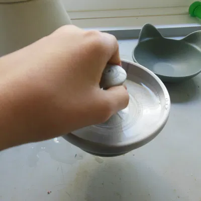 Chén nước cho mèo (Cat Water Bowl)