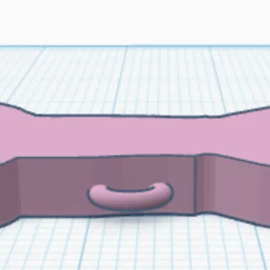 Thẻ tên thú cưng (Pet tag)