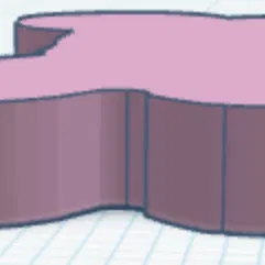 Thẻ tên thú cưng (Pet tag)