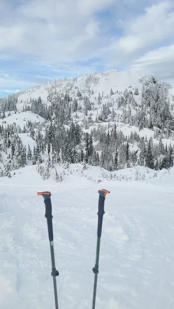 Nắp thay thế gậy trekking Decatlhon Forclaz 500 - Image 3