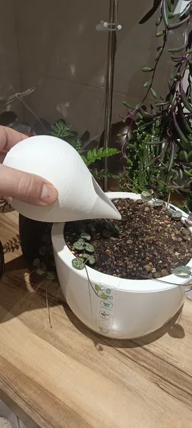 Bình tưới cây (лейка) - Image 1