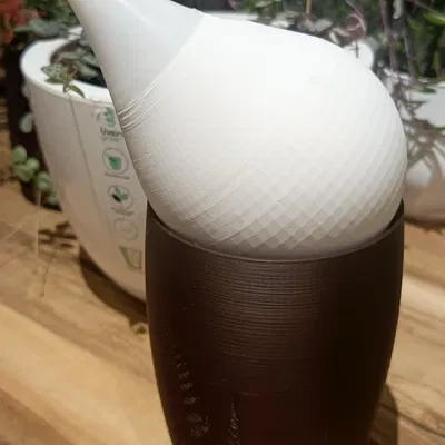 Bình tưới cây (лейка)