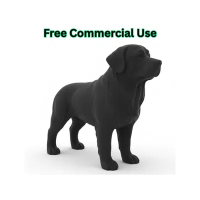 Tượng Chó Bernese Mountain Dog (Figurine)