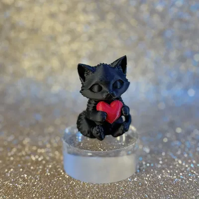 Heart's cat – Mèo ôm trái tim dễ thương