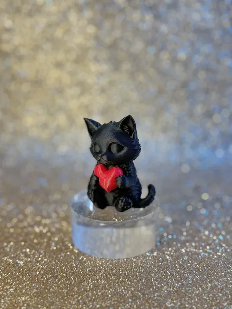 Heart's cat – Mèo ôm trái tim dễ thương - Image 5