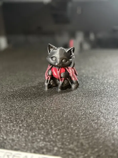 Heart's cat – Mèo ôm trái tim dễ thương - Image 6