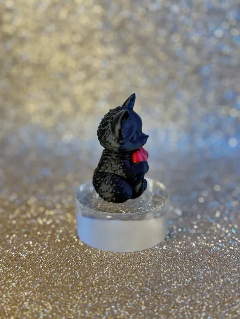 Heart's cat – Mèo ôm trái tim dễ thương - Image 7