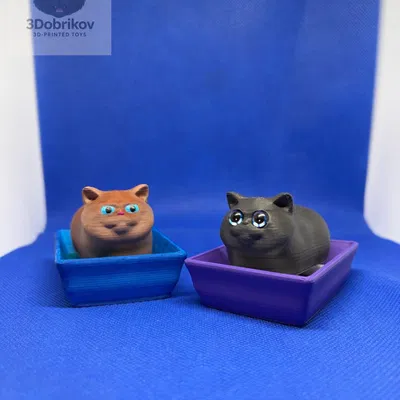 Clicker: Mèo con British trong khay cát vệ sinh