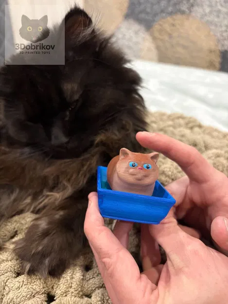 Clicker: Mèo con British trong khay cát vệ sinh - Image 3