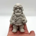 Garden Gnome Pilot - Thumbnail 1