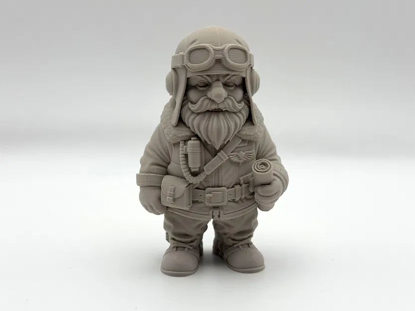 Garden Gnome Pilot - Image 2
