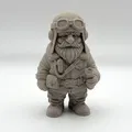 Garden Gnome Pilot - Thumbnail 2
