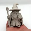 Gnomedalf – Kẻ Lữ Hành Xám của Khu Vườn - Thumbnail 1