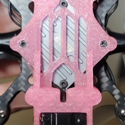 Canopy Pavo 20 pro (fit DJI O4 lite + Flywoo wide lens mod + VTX case)