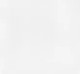 Sage Brick (gạch) - Image 1