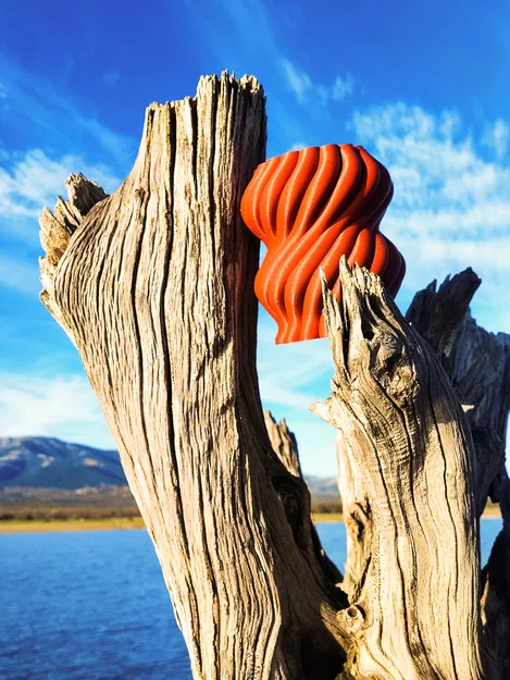 Bình hoa Anemona - Image 3