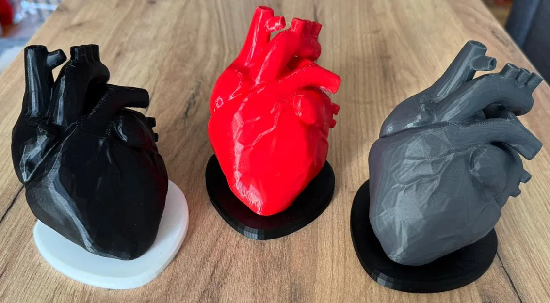 Giá đỡ Tim Nam Châm – Đúng Giải Phẫu – Quà Valentine - Image 3