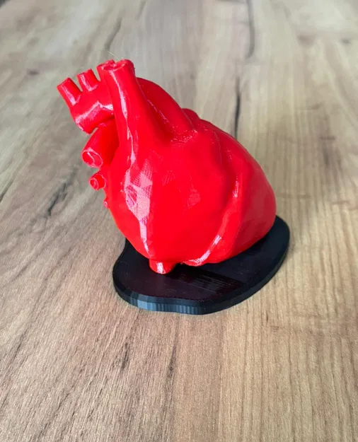 Giá đỡ Tim Nam Châm – Đúng Giải Phẫu – Quà Valentine - Image 4