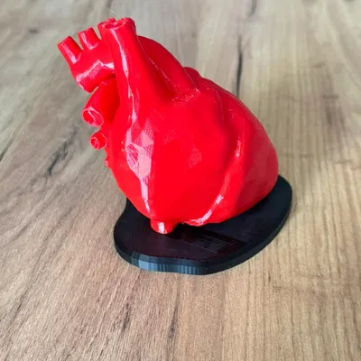 Giá đỡ Tim Nam Châm – Đúng Giải Phẫu – Quà Valentine