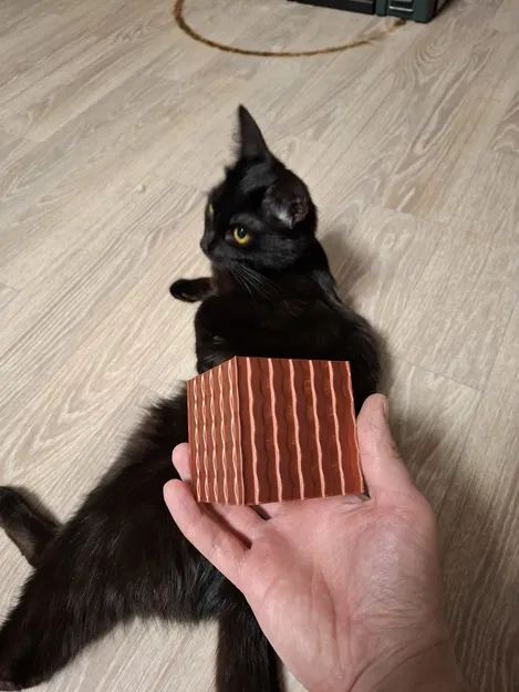 Chậu lồng cho chậu ươm 77mm (Pot for seedlings pot 77mm) - Image 1