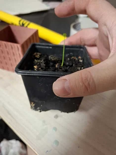 Chậu lồng cho chậu ươm 77mm (Pot for seedlings pot 77mm) - Image 6