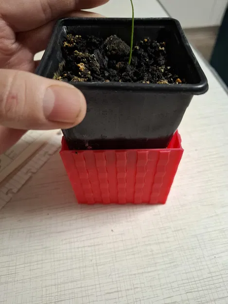 Chậu lồng cho chậu ươm 77mm (Pot for seedlings pot 77mm) - Image 7