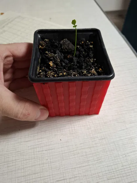 Chậu lồng cho chậu ươm 77mm (Pot for seedlings pot 77mm) - Image 8