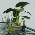 Chậu trồng cây treo mép bể cá (Suspended aquarium planter) - Thumbnail 1