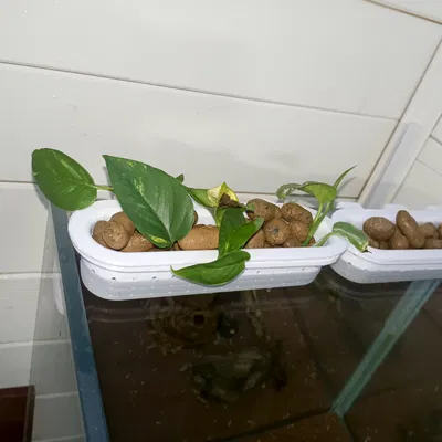 Gá đỡ lớn 10 mm