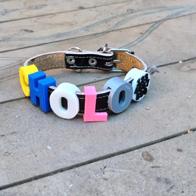 Chữ cái cho vòng cổ chó (Letters for Dog Collar)