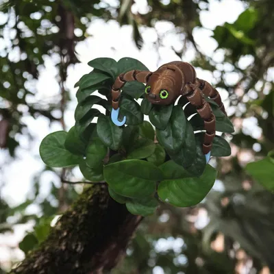 Flexi sloth - tương thích mắt kính 6mm