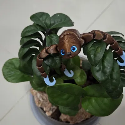 Flexi sloth - tương thích mắt kính 6mm