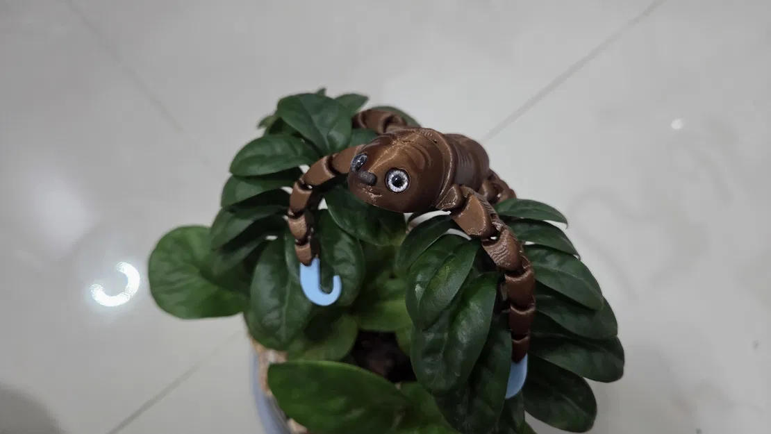 Flexi sloth - tương thích mắt kính 6mm - Image 5