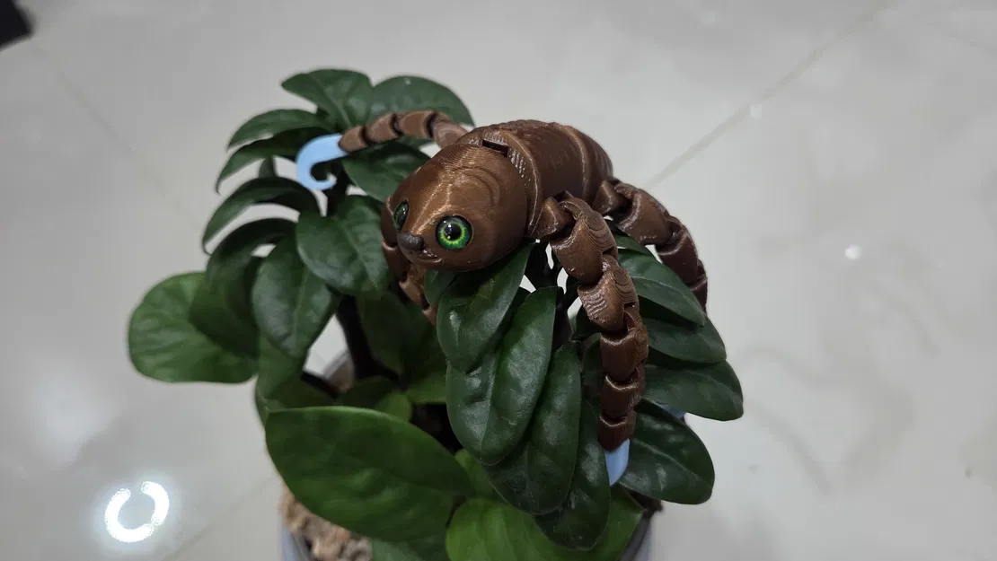 Flexi sloth - tương thích mắt kính 6mm - Image 8