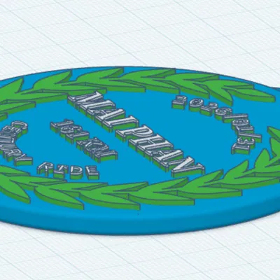 Huy chương tùy chỉnh (Customizable Medal)