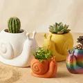 Chậu Ốc Sên Kawaii ♡ – Decor Hiện Đại Dễ Thương - Thumbnail 1