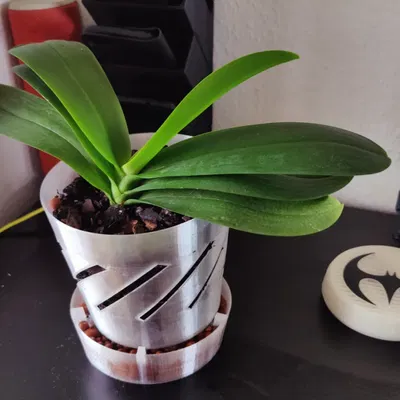 Bộ chậu trồng lan tối ưu kèm khay bi đất nung (nhiều kích cỡ)