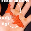 Flexi/ Cá Mập Khớp Nối (Articulated Shark) - Thumbnail 1