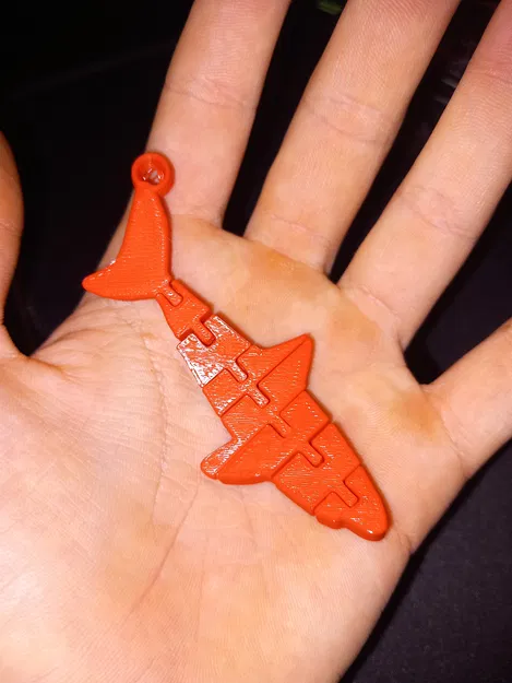 Flexi/ Cá Mập Khớp Nối (Articulated Shark) - Image 2