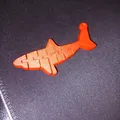Flexi/ Cá Mập Khớp Nối (Articulated Shark) - Thumbnail 4