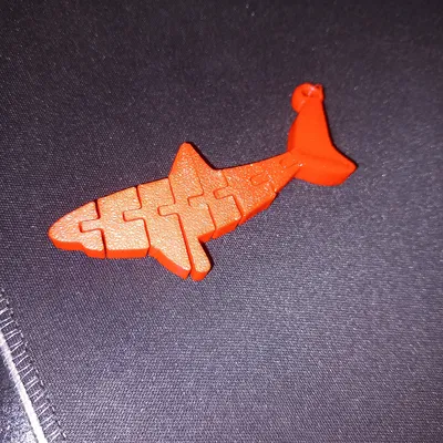 Flexi/ Cá Mập Khớp Nối (Articulated Shark)