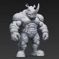Rhino - Thumbnail 1