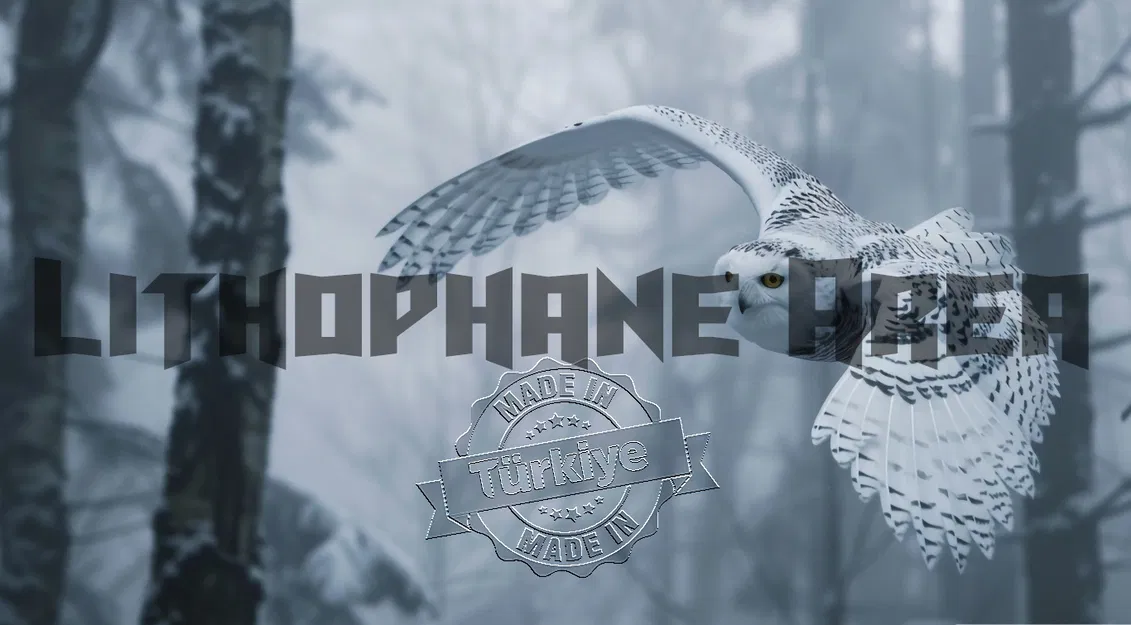 Cú Trắng và Mùa Đông - Image 1