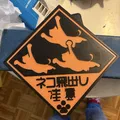 WARNING: Cats can Fly by – Biển cảnh báo mèo bay (Japan) - Thumbnail 2