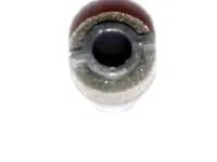 Plantronics Voyager Legend – Mẫu earpiece thay thế in 3D - Image 3