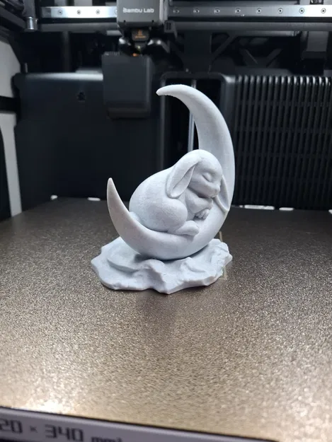 Chú Thỏ Ngủ Trên Mặt Trăng - Image 1