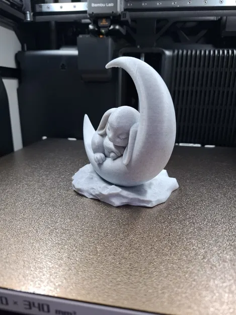 Chú Thỏ Ngủ Trên Mặt Trăng - Image 2