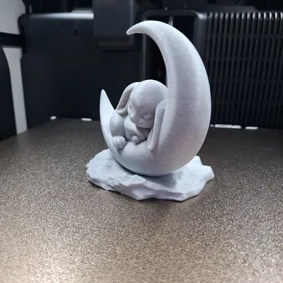 Chú Thỏ Ngủ Trên Mặt Trăng