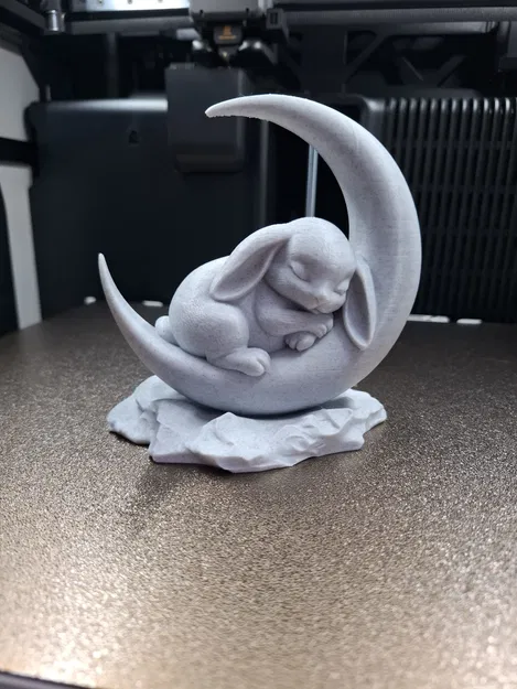 Chú Thỏ Ngủ Trên Mặt Trăng - Image 3